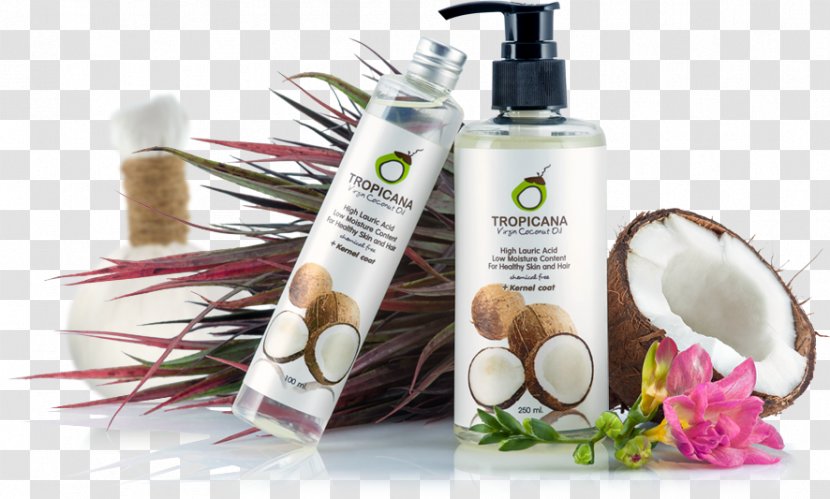 Lotion Coconut Oil Thai Cuisine Jojoba Transparent PNG