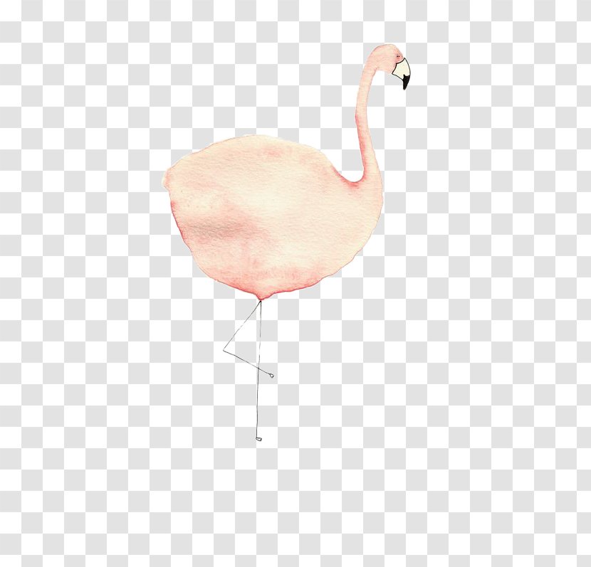 Flamingos Bird - Animation - Painted Fat Transparent PNG
