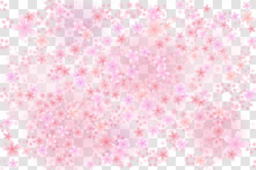 Pink Cherry Blossom - Magenta - Vector Blossoms Transparent PNG