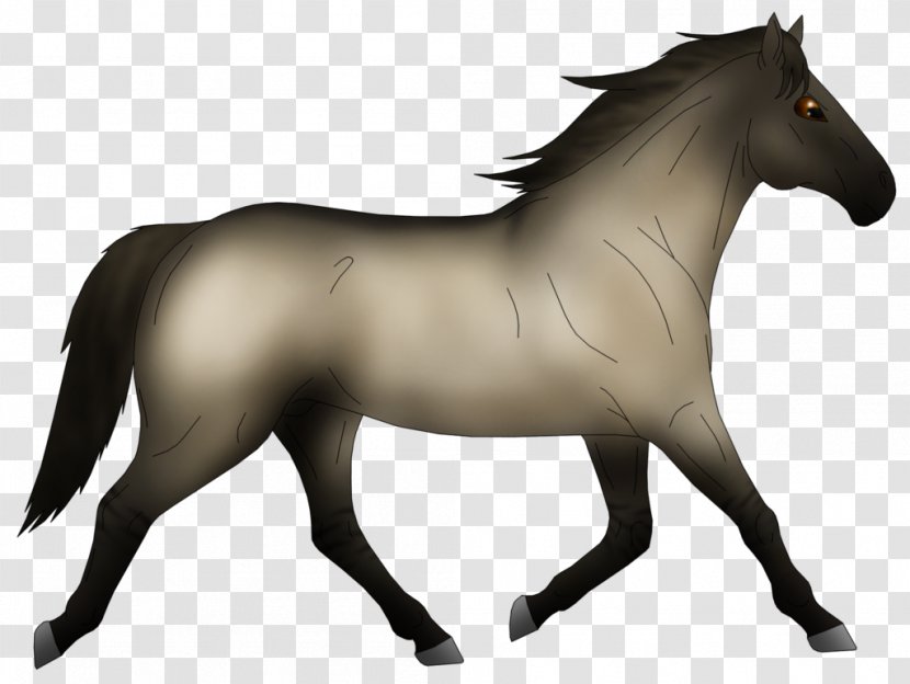 Mane Mustang Stallion Pony Mare Transparent PNG