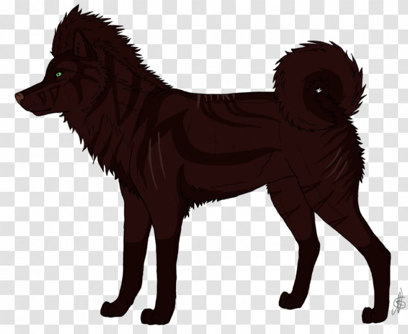 Dog Breed Finnish Spitz Schipperke Rare (dog) Puppy - Like Mammal Transparent PNG