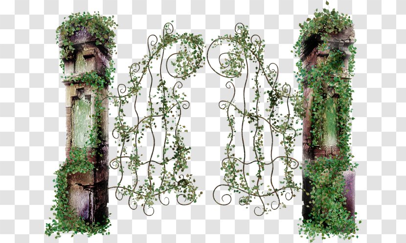 Arch Clip Art - Floral Design - Door Transparent PNG