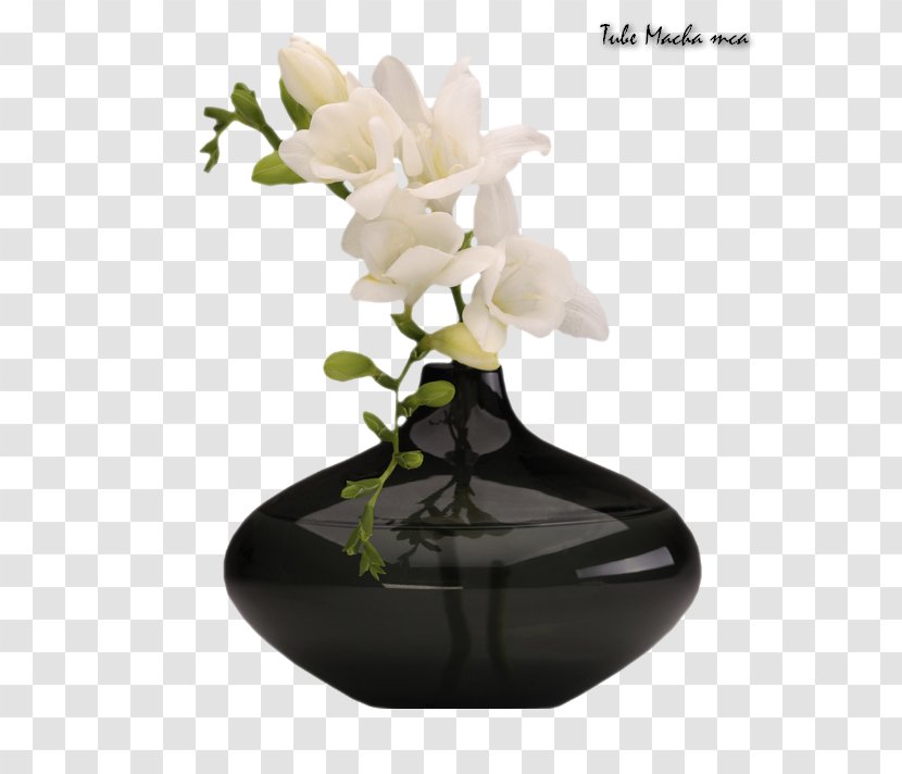 Vase Clip Art - Tulip Transparent PNG
