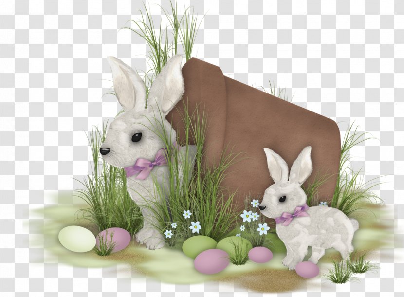 Domestic Rabbit Easter Bunny Hare - Flower - Commercial Use Transparent PNG