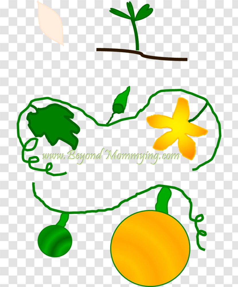 Big Pumpkin Book School Flower - Lesson - Life Cycle Transparent PNG