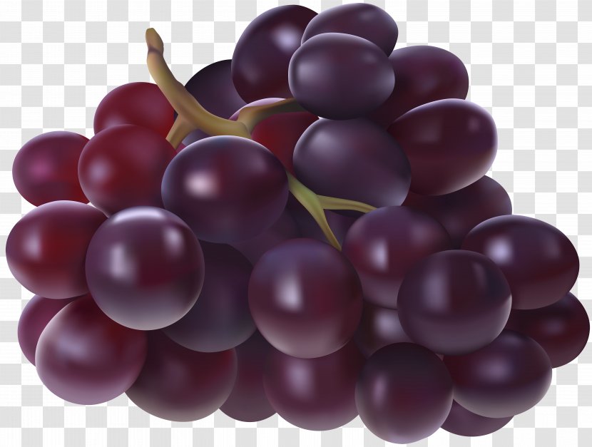 Juice Grape Fruit Clip Art - Vitis - Grapes Transparent Image Transparent PNG