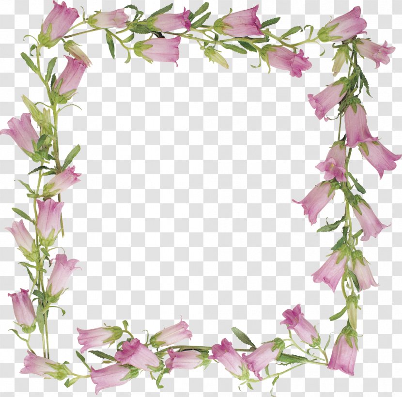 Picture Frames - Frame - Lily Of The Valley Transparent PNG