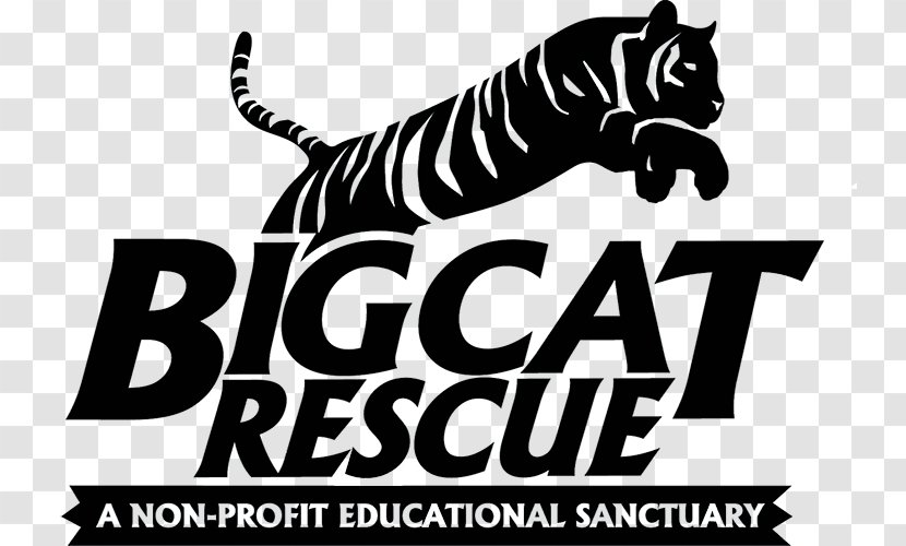 Tiger Big Cat Rescue Cougar Logo Transparent PNG