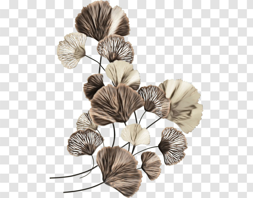 Petal Flower Transparent PNG