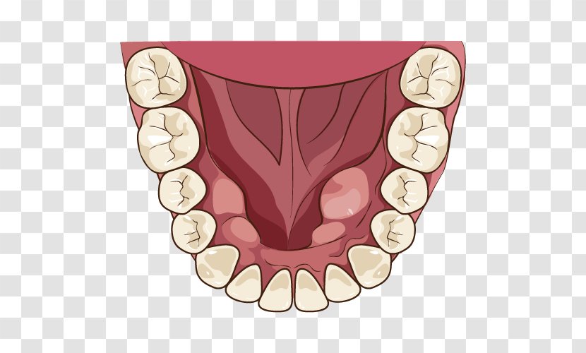 Tooth Alaleuanluu Dentist Jaw Mouth - Flower - Silhouette Transparent PNG