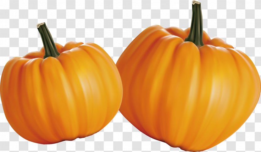 Pumpkin Calabaza Organic Food Vegetable - Local - Fresh Vegetables Of The Super Large Transparent PNG