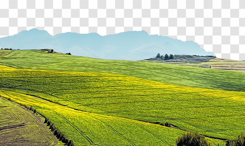 Energy Field Biofuel Learning Hill Transparent PNG