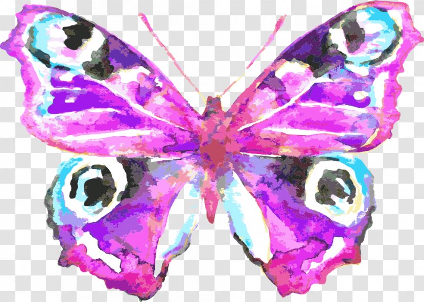 Butterfly Watercolor Painting Drawing Royalty-free Illustration - Color - Vector Painted Transparent PNG