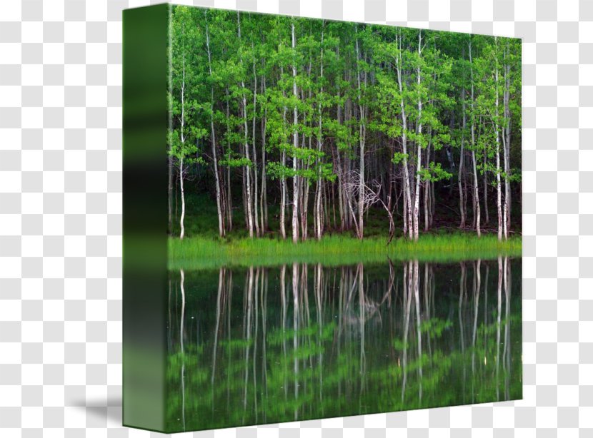 Gallery Wrap Canvas Art Lakeshore Equipment Company Inc Panorama - Records Transparent PNG