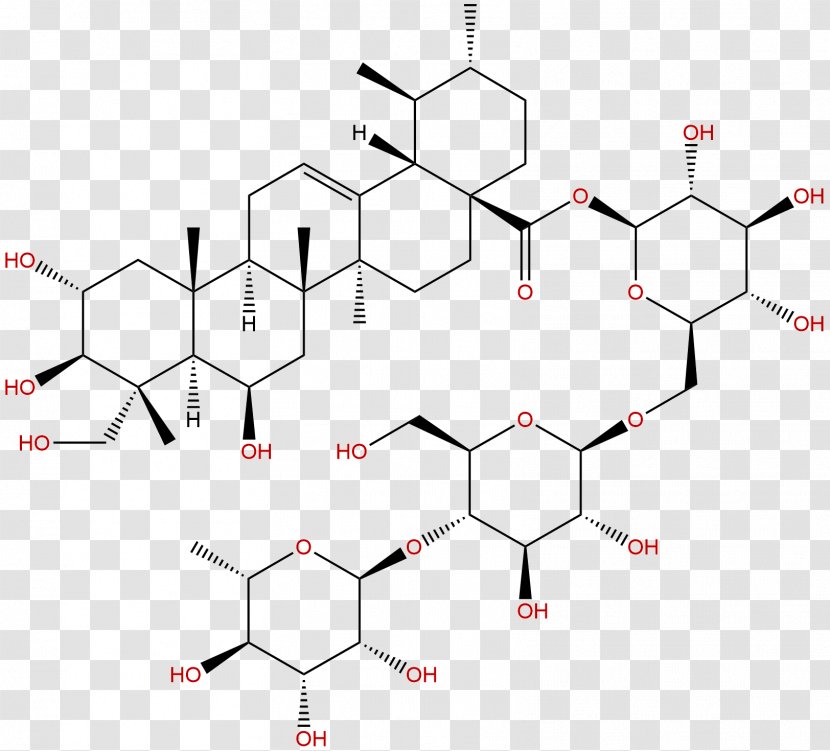Oleanolic Acid Maslinic Triterpene Ursolic Natural Product - Frame - Phytochemicals Transparent PNG