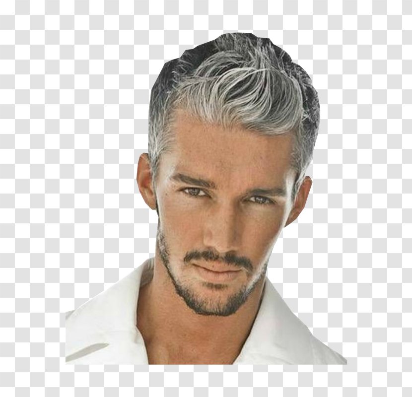 Hairstyle Hair Coloring Human Color Grey - Silver - Veterinarian Transparent PNG