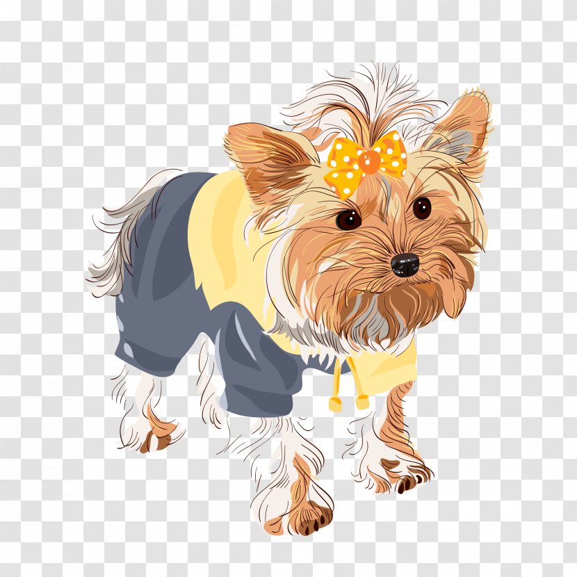 Yorkshire Terrier Boston Black Russian Shih Tzu Puppy - Dog - Fashion Download Transparent PNG