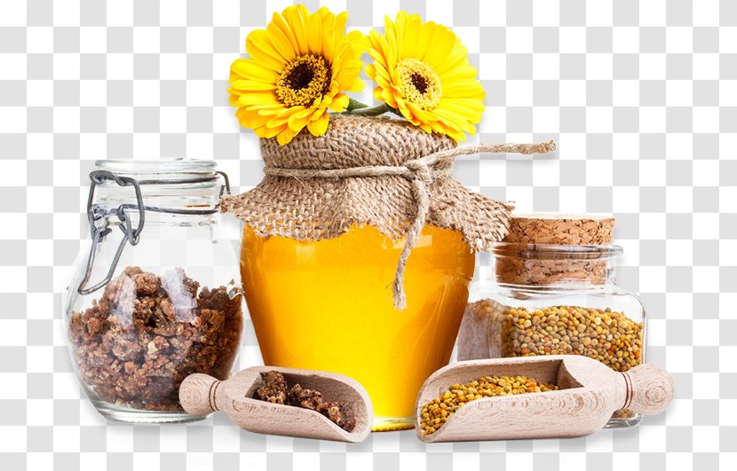 Bee Honey Energy Bar Hibernation Diet Health - M%c4%81nuka Transparent PNG