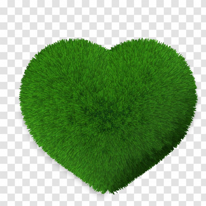 Lawn Green Leaf - Grass - Heart-shaped Transparent PNG
