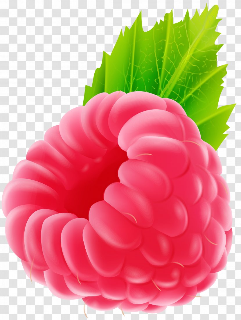 Raspberry Fruit Clip Art - Football - Rasberry Transparent PNG