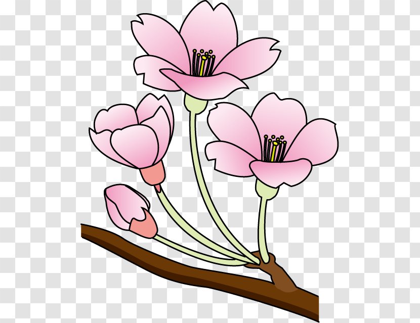Floral Design Cherry Blossom Clip Art - Flower - Blossoms Clipart Transparent PNG