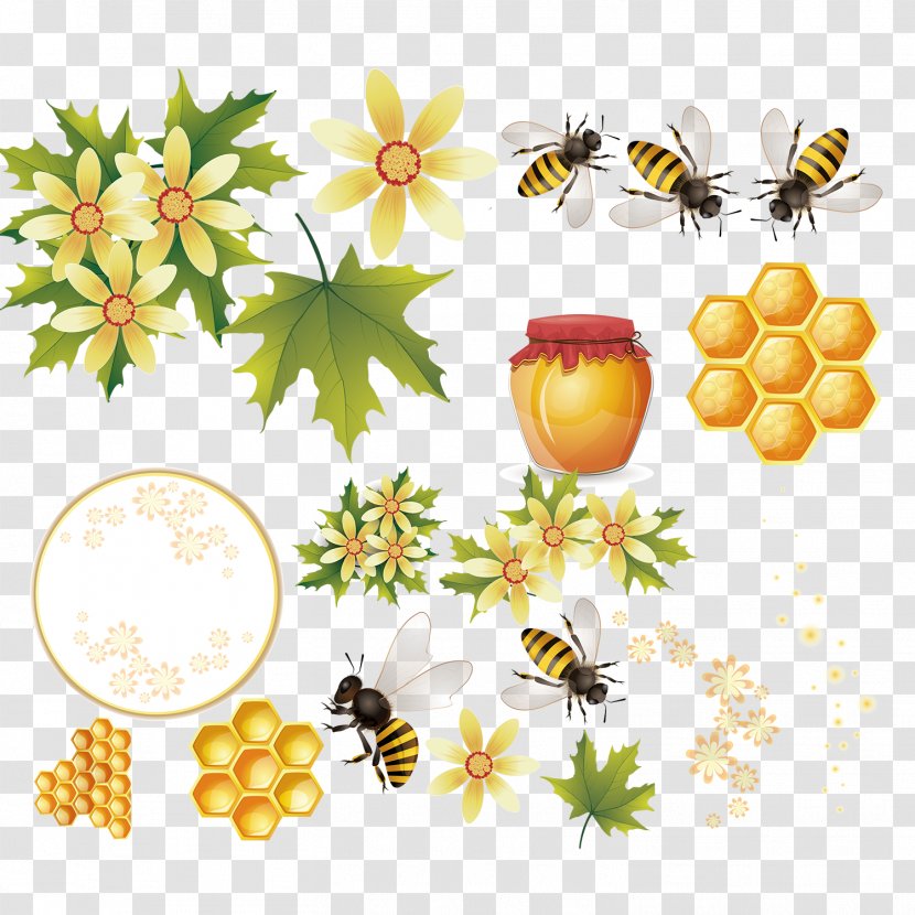 Honey Bee Download - Hive Vector Material Transparent PNG