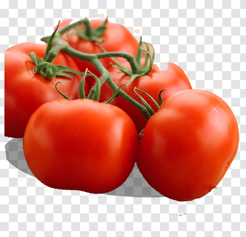 Organic Food Tomato Vegetable Eating - Cooking - A Bunch Of Tomatoes Transparent PNG