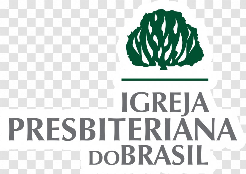 Presbyterian Church Of Brazil Presbyterianism Protestantism Christian - Calvinism - Logomarca Transparent PNG