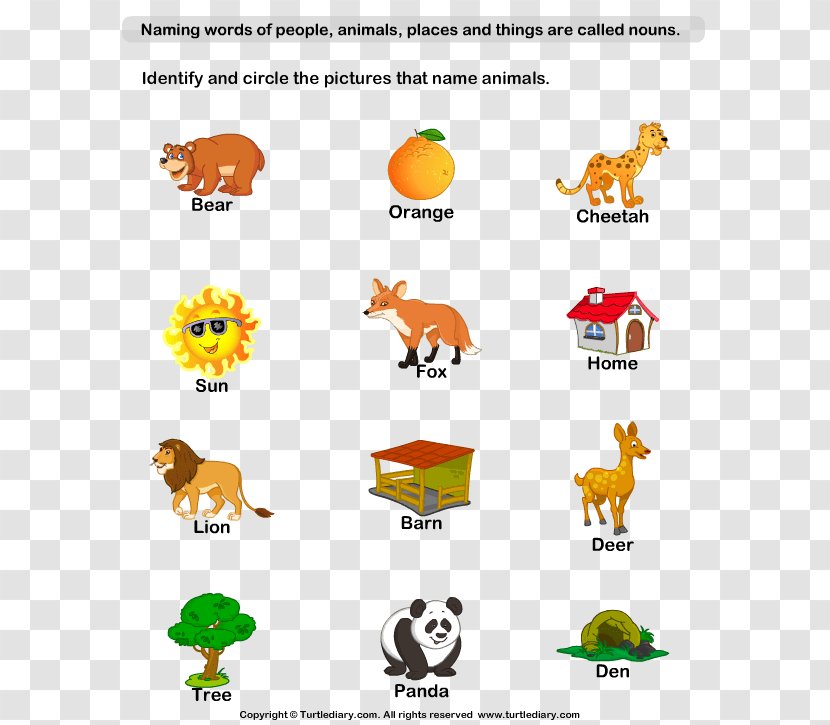 Naming Words: Nouns And Pronouns Kindergarten Worksheet Plural First Grade - Wildlife - Animals Vocabulary For Kids Transparent PNG