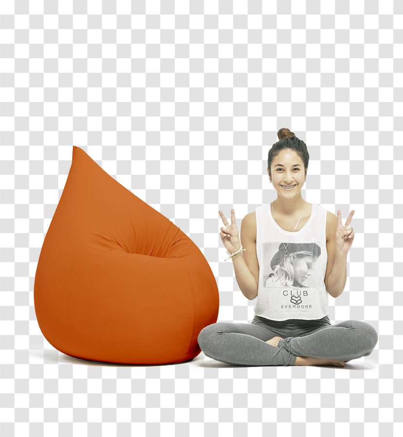 Bean Bag Chairs Terapy MINI Cooper Color - Oranje Transparent PNG