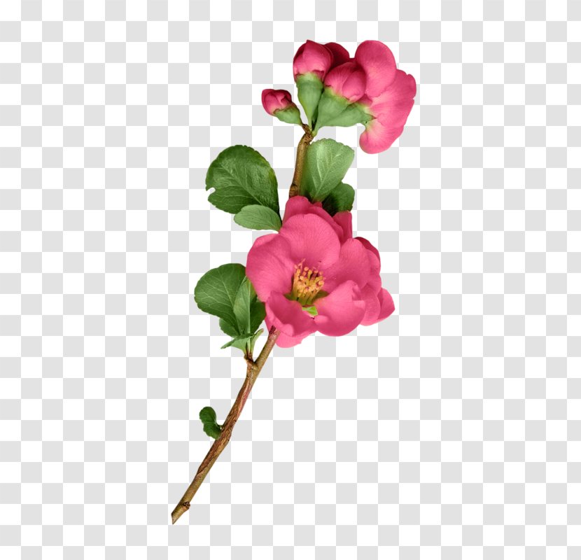 Garden Roses Artificial Flower Cut Flowers Plant Stem - Rose Family Transparent PNG