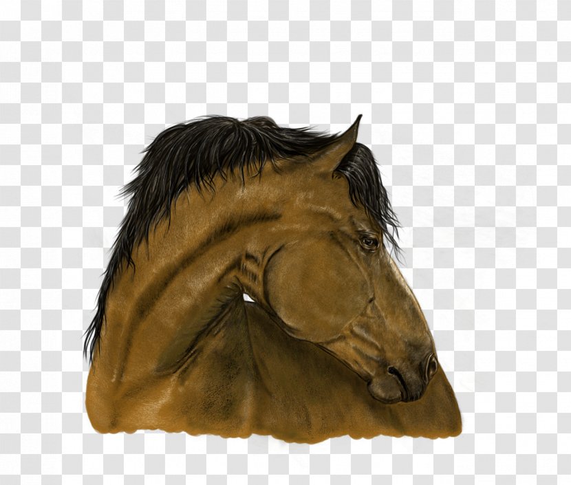Horse Portrait Painting Art - Snout Transparent PNG