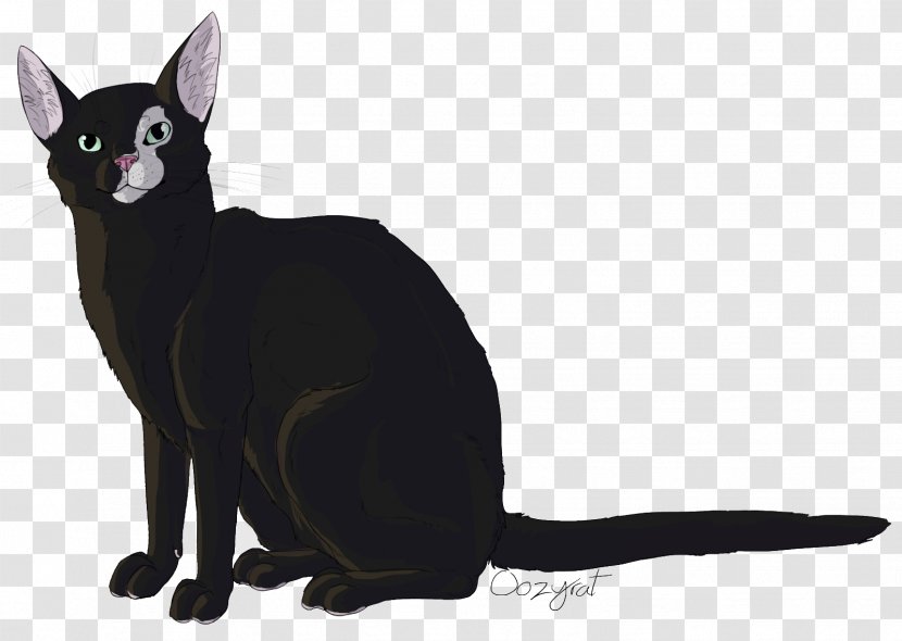 Black Cat Bombay Kitten Domestic Short-haired Whiskers - Tortoiseshell Transparent PNG