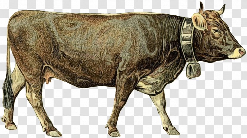 Dairy Cattle Ox Goat Bull - Mammal - Bovine Transparent PNG