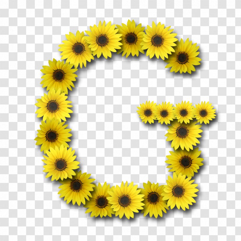 Letter Case Alphabet N G - H - Sunflower Aestheticism Transparent PNG
