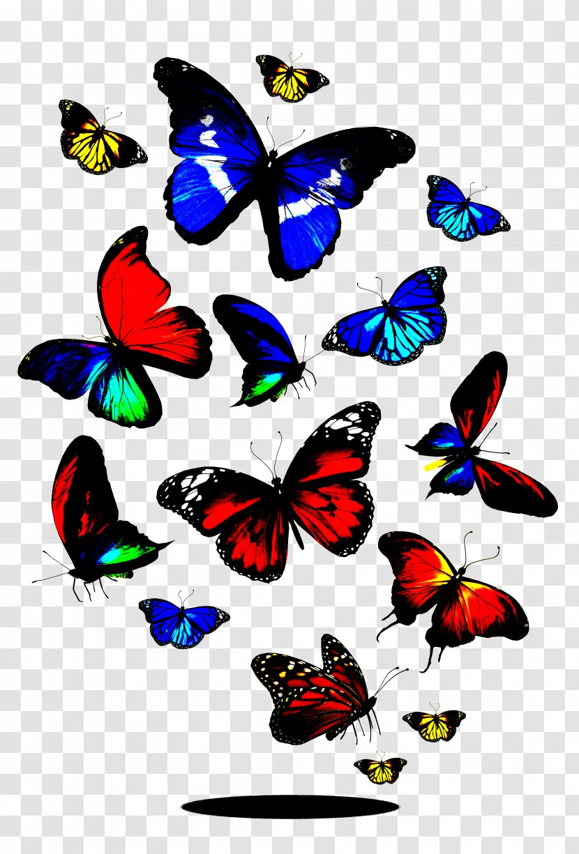 Butterfly Royalty-free Stock Photography Clip Art - Color - Colorful Transparent PNG