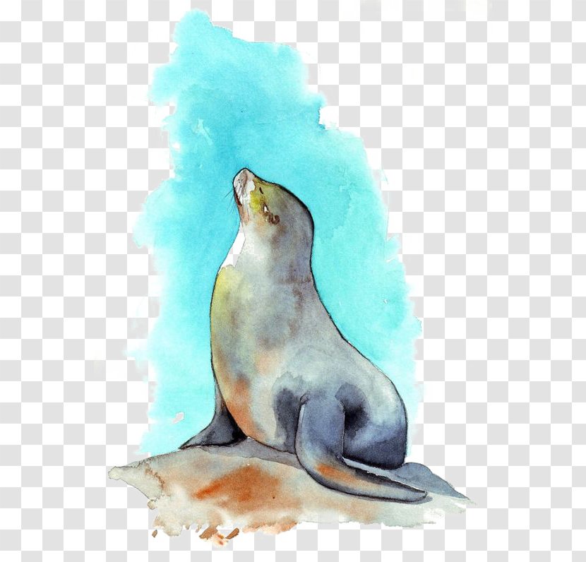 Sea Lion Watercolor Painting - Organism - Seal Transparent PNG