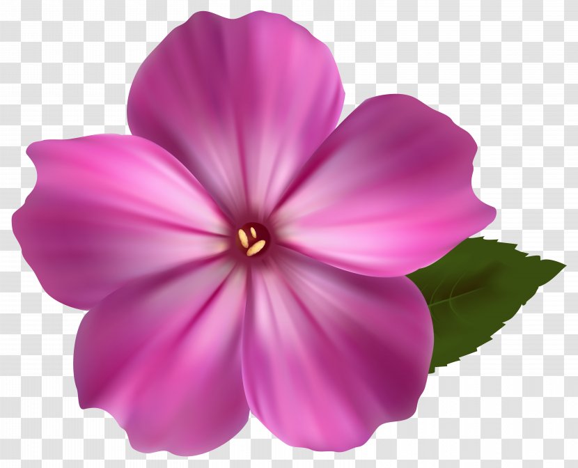 Pink Flowers Royalty-free Clip Art - Lilium Transparent PNG