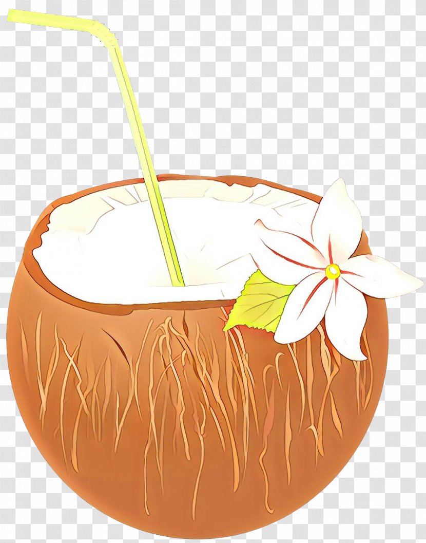 Watercolor Floral Background - Food - Coconut Transparent PNG