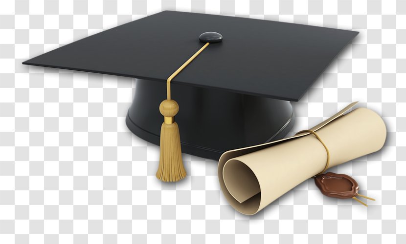 Lagos State University Graduate Student Graduation Ceremony Postgraduate Education - Bill Gate Transparent PNG