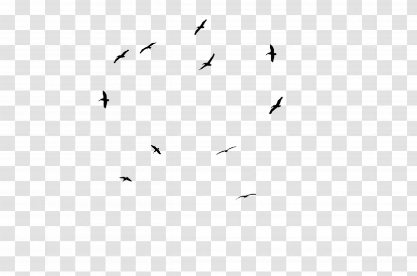 Cartoon Bird - Sky - Flock White Transparent PNG