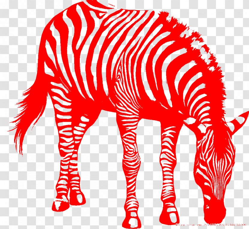 Photography Drawing Clip Art - Mammal - Zebra Transparent PNG