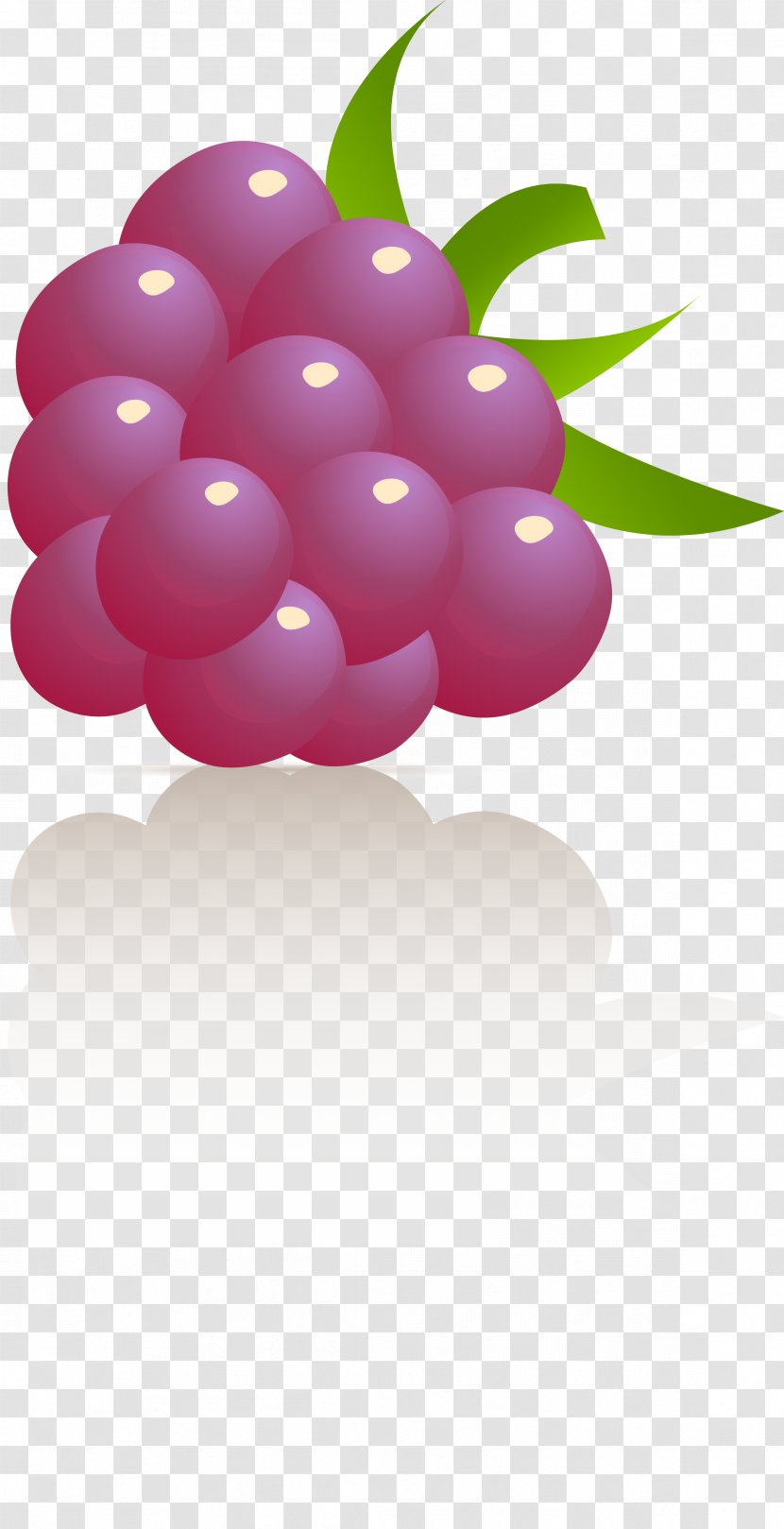 Common Grape Vine Juice Cocktail Fizzy Drinks - Vitis - Plant Transparent PNG
