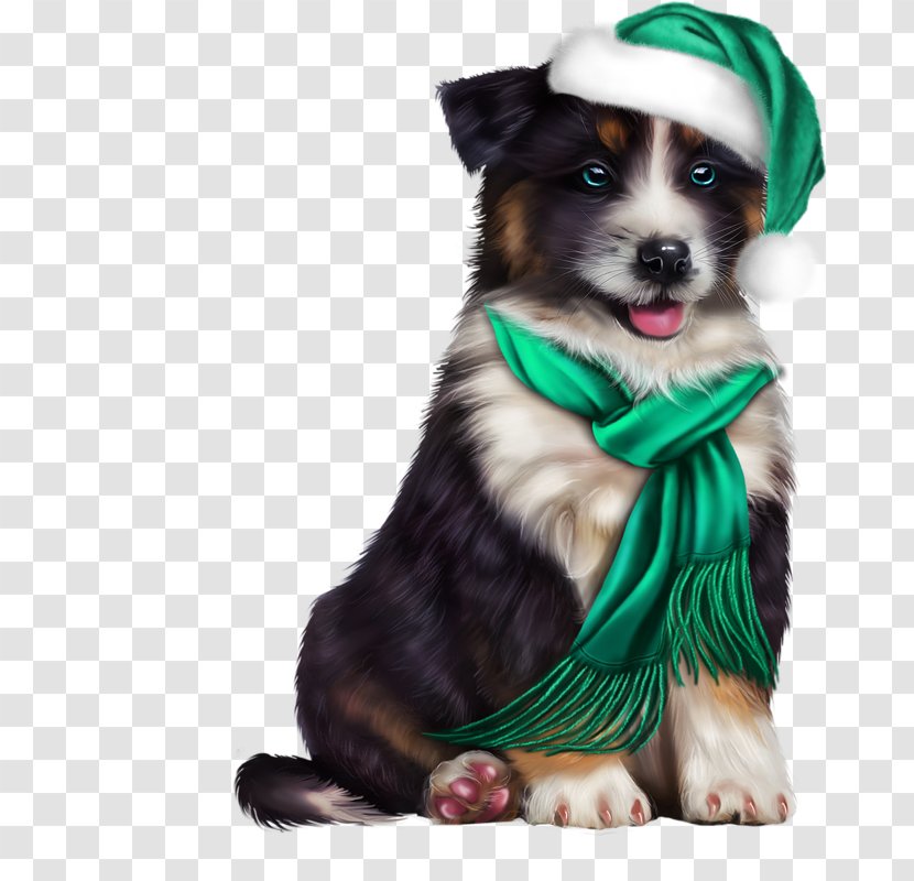 Yorkshire Terrier Puppy Clip Art Cutest Animals Transparent PNG