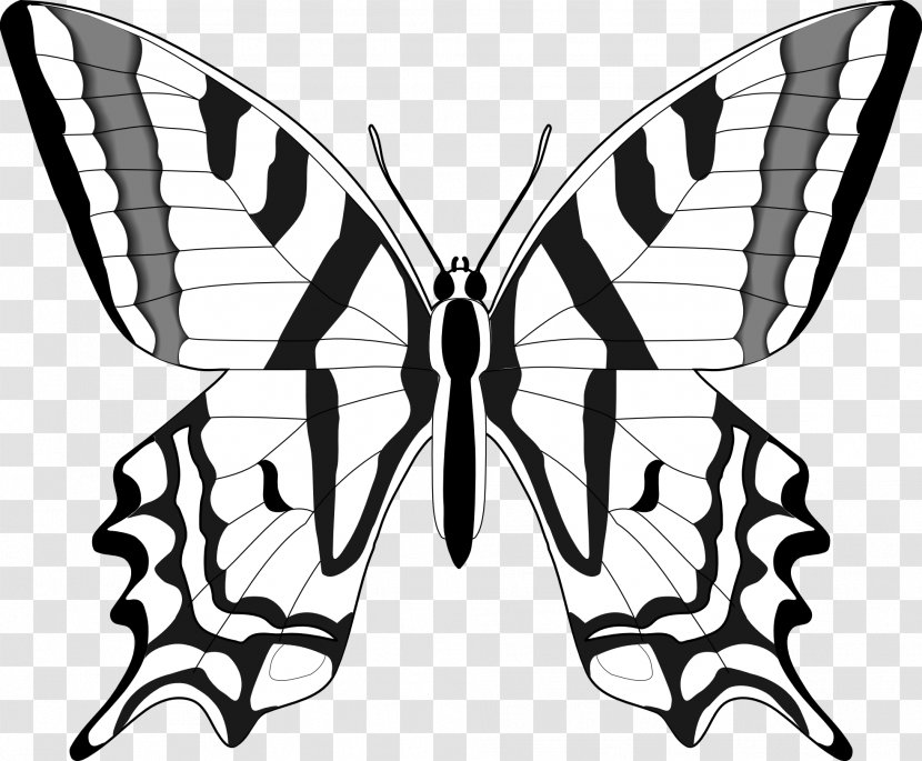 Monarch Butterfly Black And White Clip Art - Pollinator - Kenzi Cliparts Transparent PNG