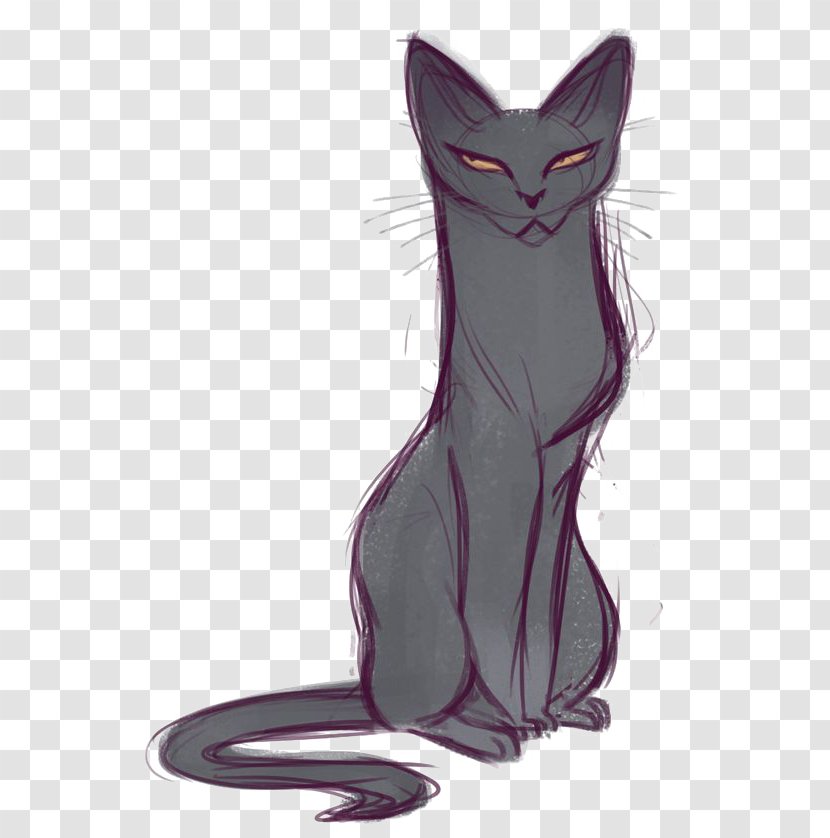 Korat Siamese Cat Sphynx Bombay Drawing - Tail Transparent PNG