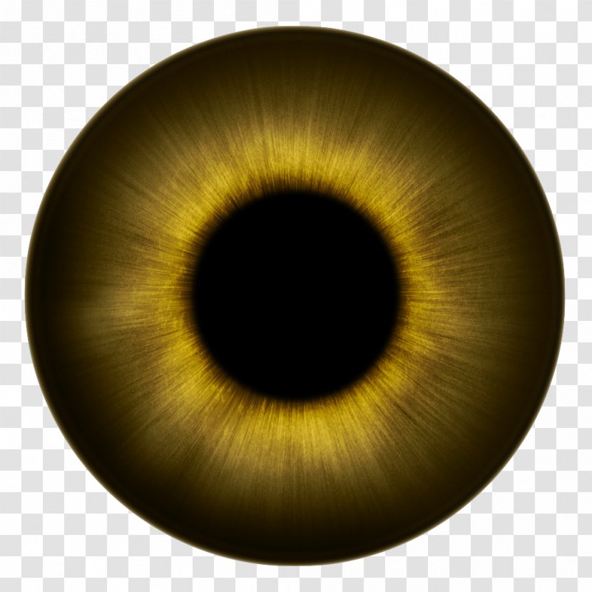 Human Eye Iris Texture Color - Heart - Eyes Transparent PNG