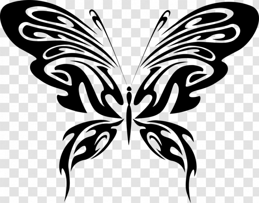 Butterfly Abstract Art Drawing - TRIBAL ANIMAL Transparent PNG