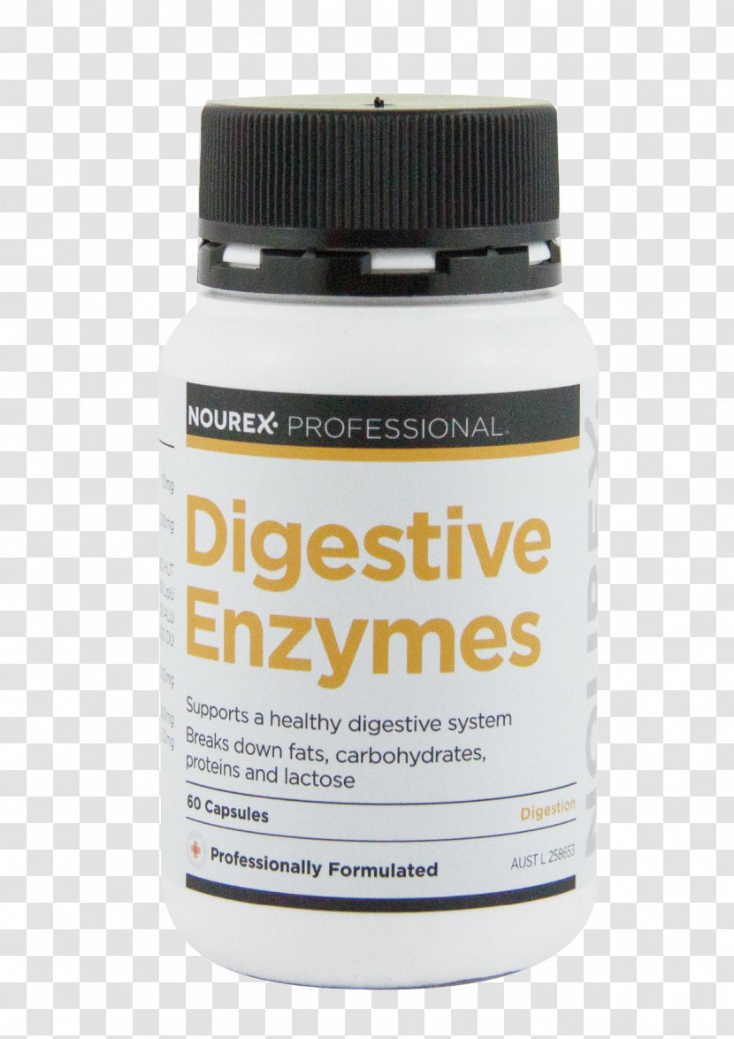 Digestive Enzyme Digestion Liver Dietary Supplement - Health Transparent PNG