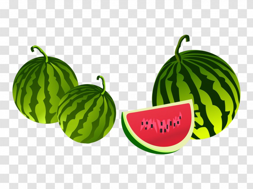 Adobe Illustrator Illustration - Cucumber Gourd And Melon Family - Watermelon Transparent PNG